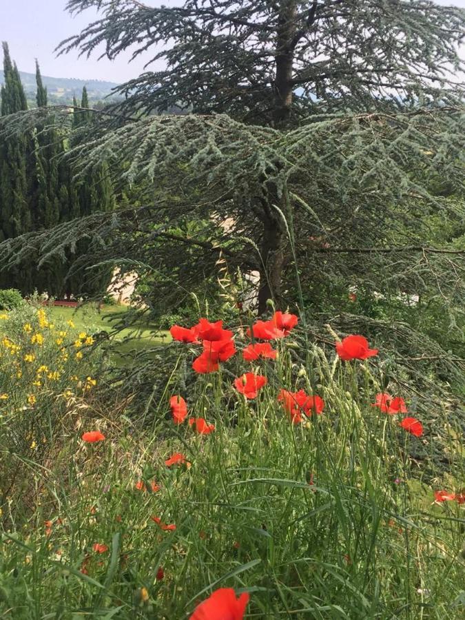 Casale Sant'Elia Bed & Breakfast Capranica Dış mekan fotoğraf