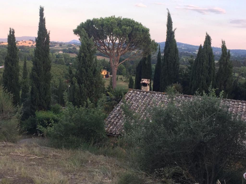 Casale Sant'Elia Bed & Breakfast Capranica Dış mekan fotoğraf